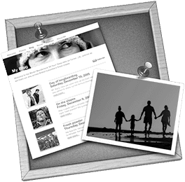iWeb icon