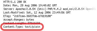 File Download content type troubleshooting terminal output.png